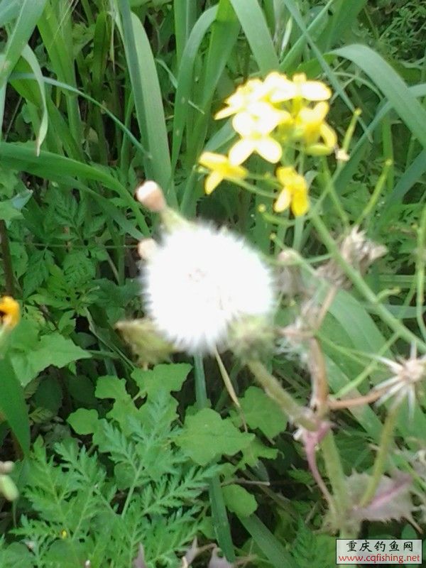 20130323_155913.jpg