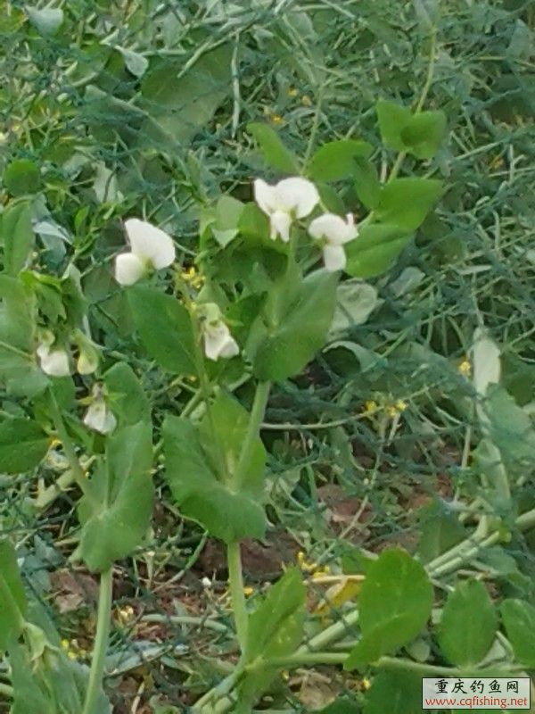 20130323_155612.jpg