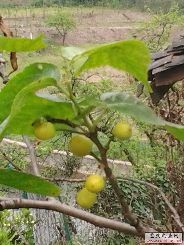 20130323_155519.jpg