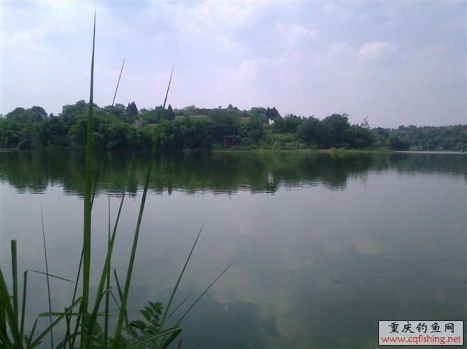 124637yl1p8hh6h26kuiuj.jpg