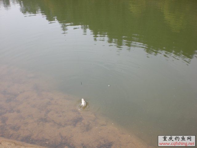 CIMG5458.JPG