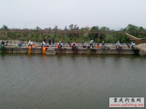 IMG20130331130832.jpg