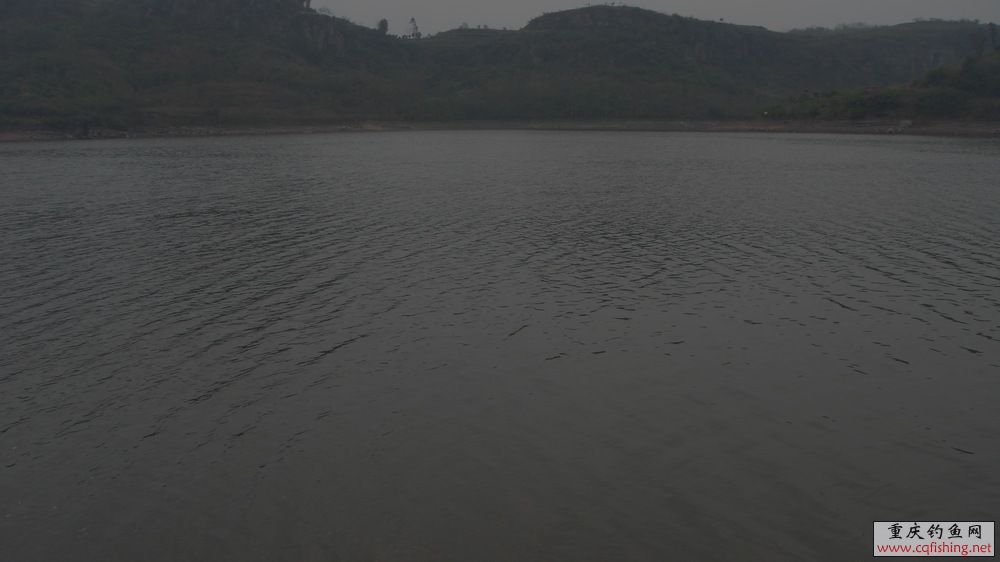 DSC00978.JPG