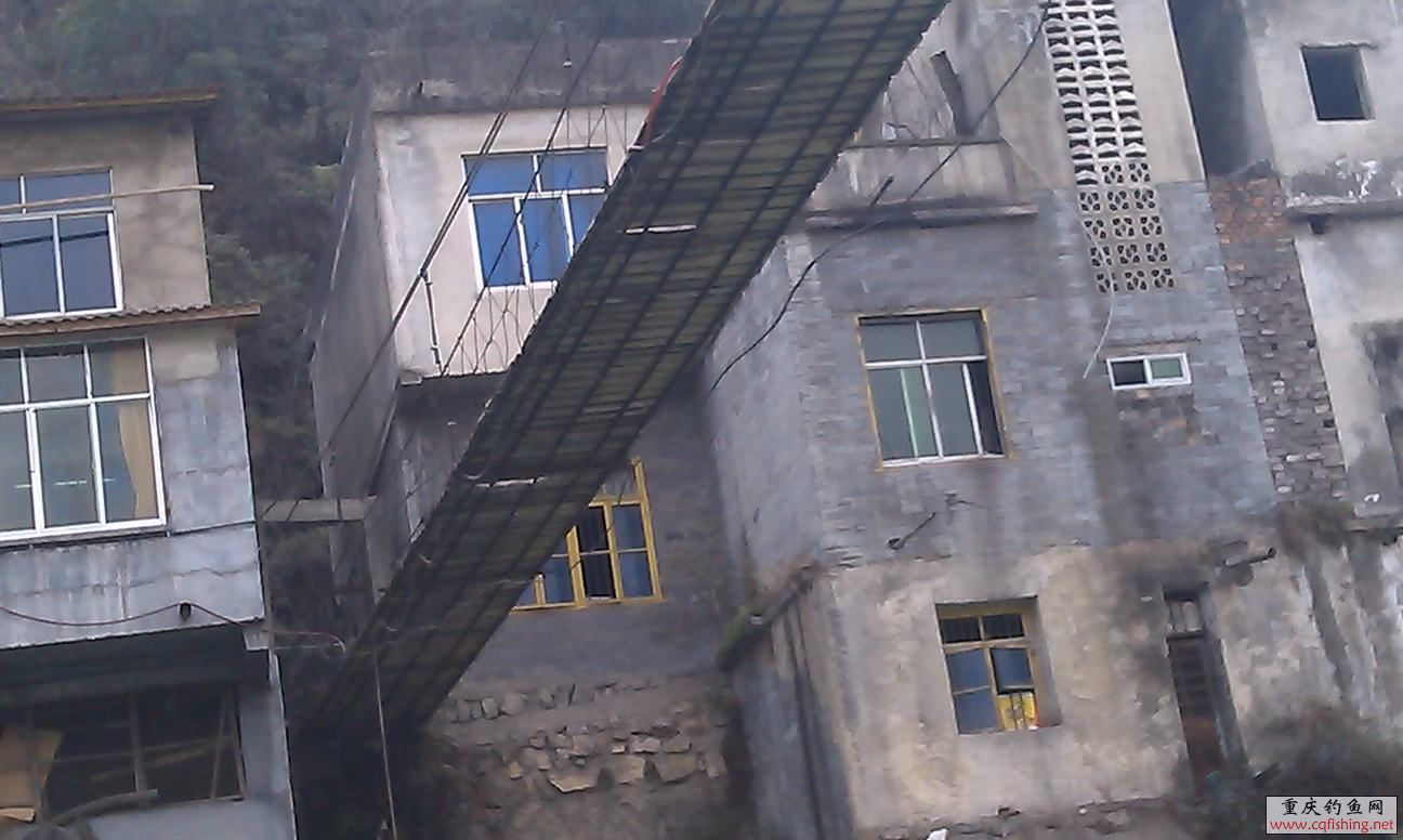 IMAG0358.jpg