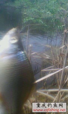 IMG0020A.jpg