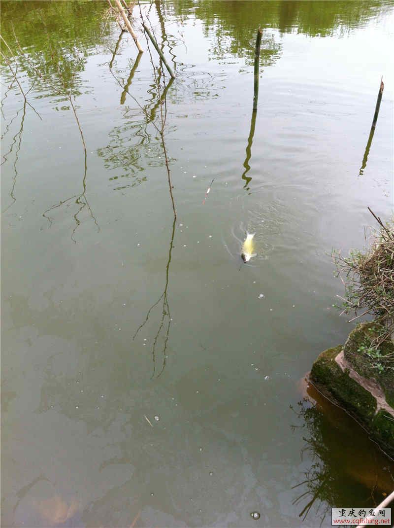 ҲûＸӣܿݾ͹Թϰ