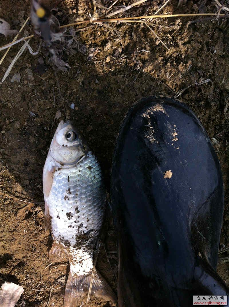 ϪСŰ