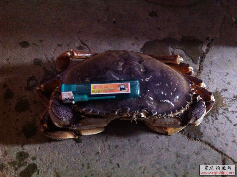ŲŲ ʱ 