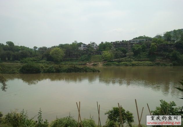 124.jpg