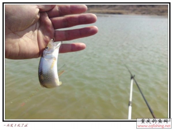 conew_p26-03-13_12.18[01].jpg