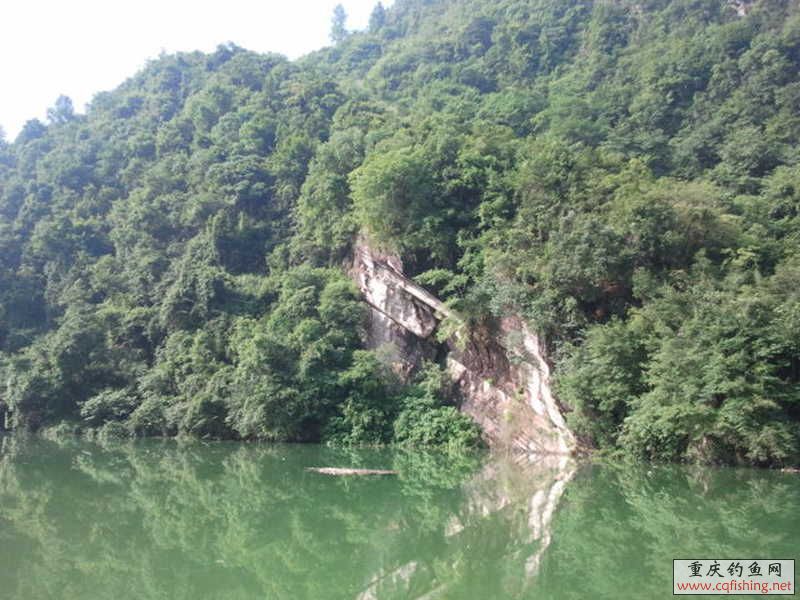 dcim@camera@2012-07-21 08_1226.jpg
