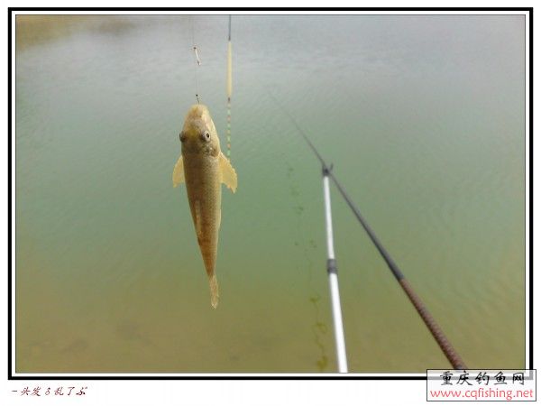 conew_p28-03-13_12.55.jpg