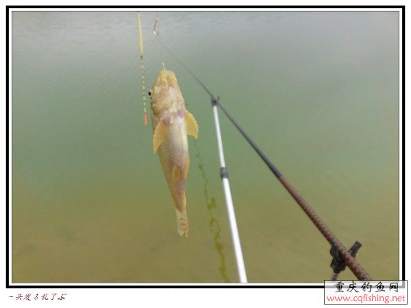 conew_p28-03-13_12.55[01].jpg