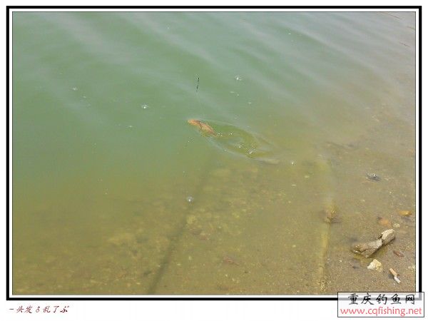 conew_p31-03-13_12.22.jpg