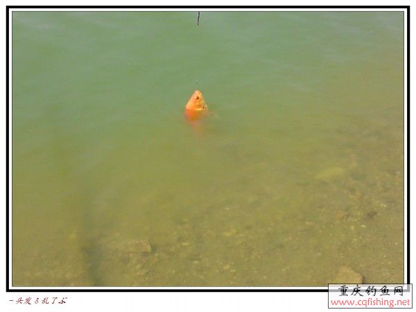 conew_p31-03-13_13.56.jpg
