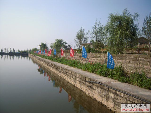 DSCN7271.JPG