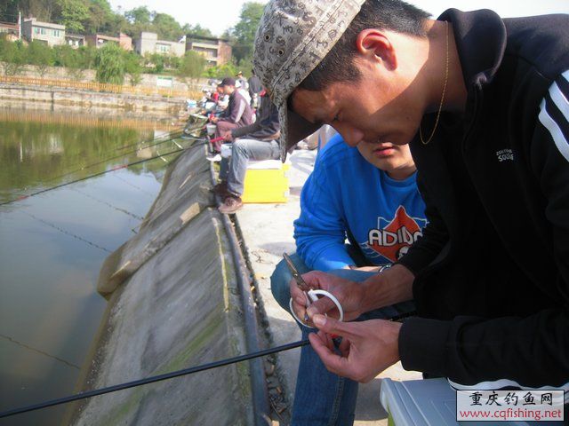 DSCN7275.JPG
