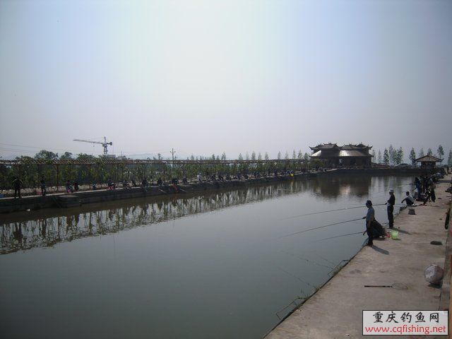 DSCN7281.JPG