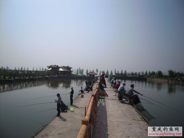 DSCN7282.JPG