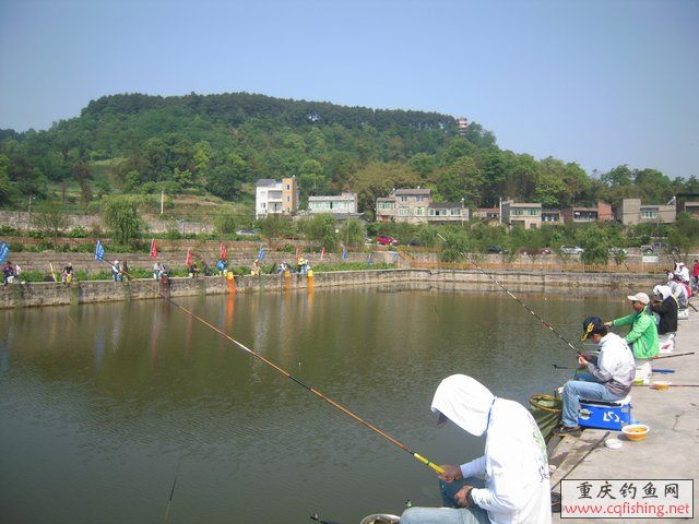 DSCN7290.JPG