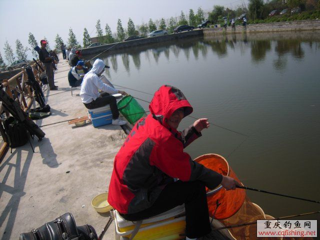 DSCN7291.JPG