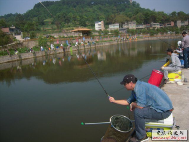 DSCN7301.JPG