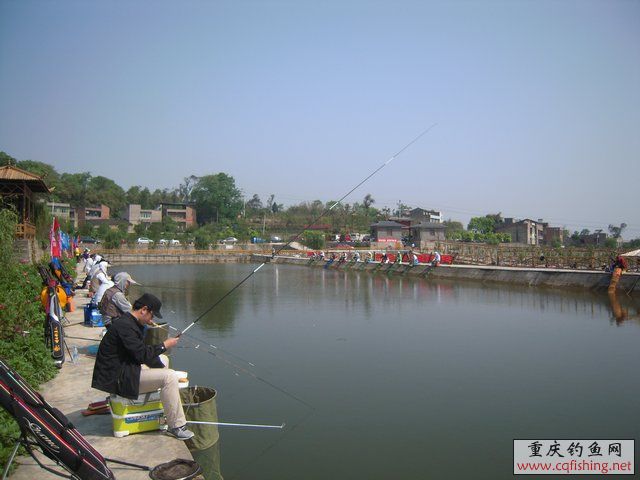 DSCN7303.JPG