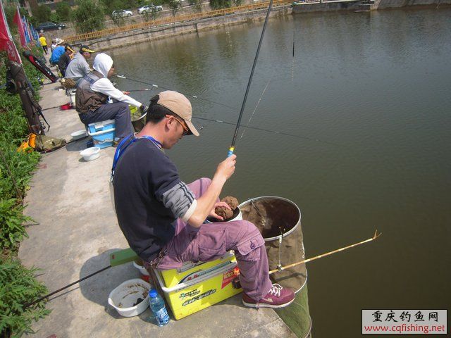 DSCN7308.JPG