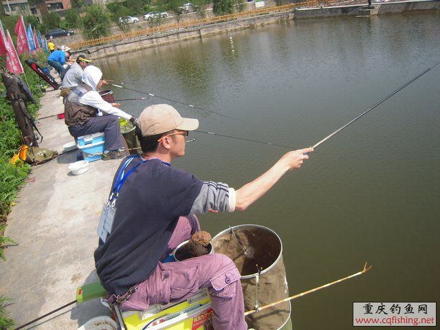 DSCN7309.JPG