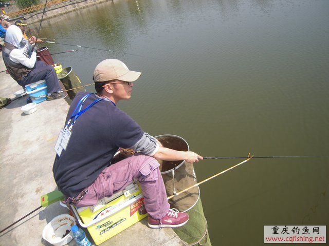 DSCN7310.JPG