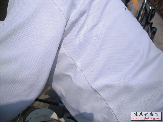 DSCN7311.JPG
