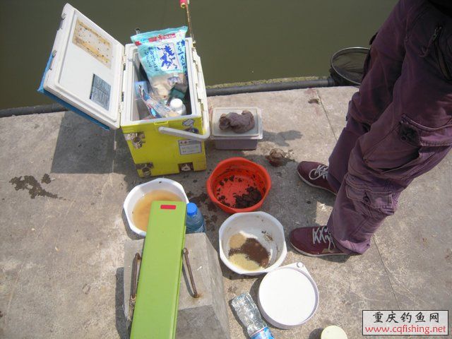 DSCN7320.JPG