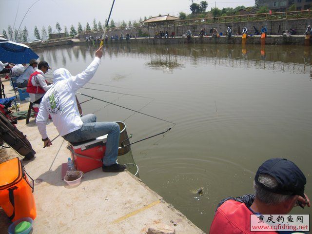 DSCN7321.JPG