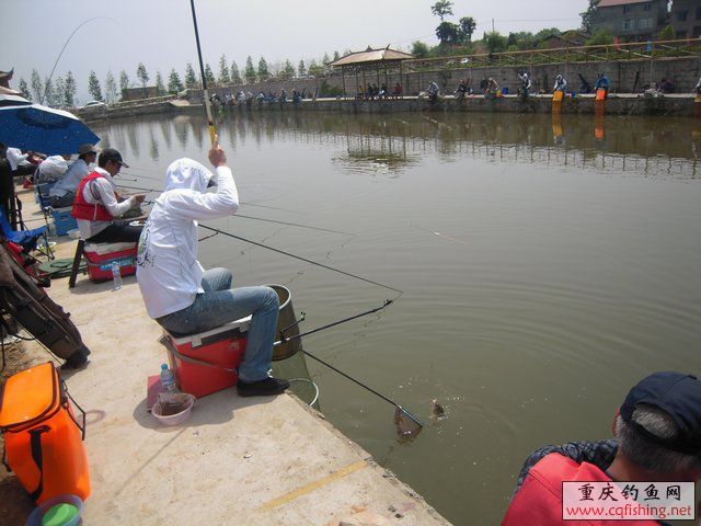DSCN7322.JPG