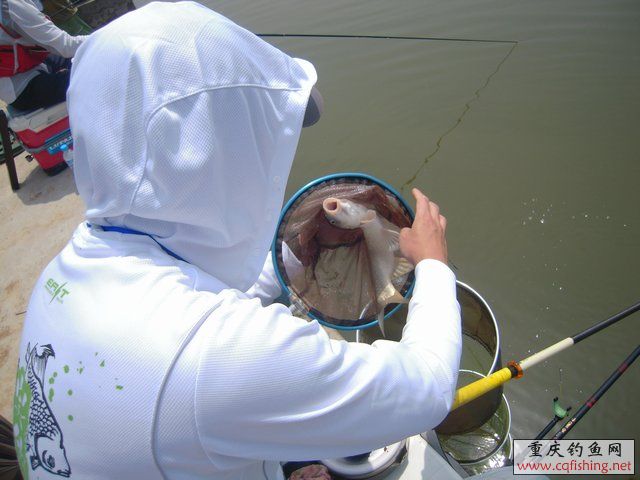 DSCN7323.JPG
