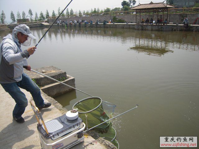 DSCN7325.JPG