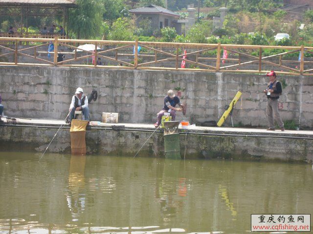 DSCN7327.JPG