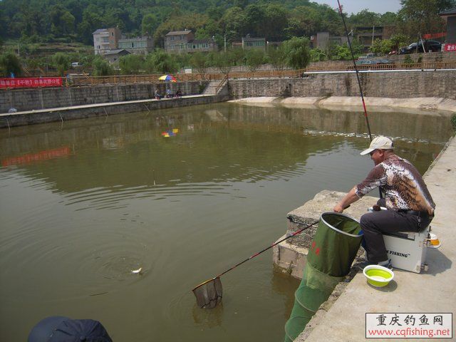 DSCN7328.JPG