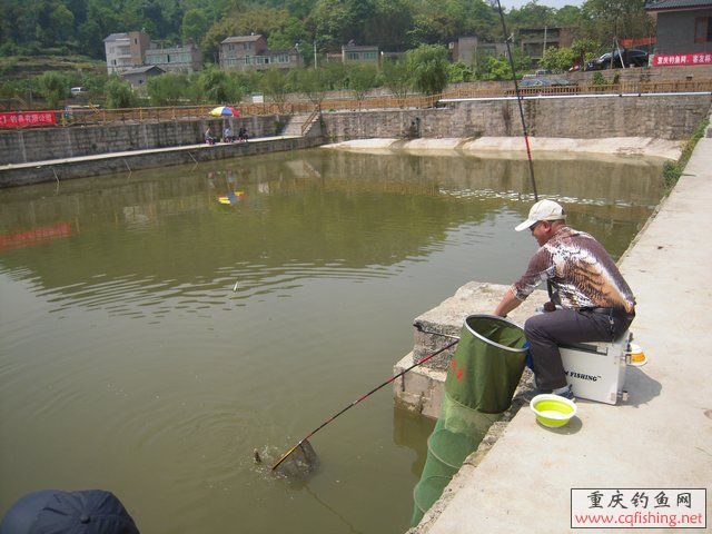 DSCN7329.JPG