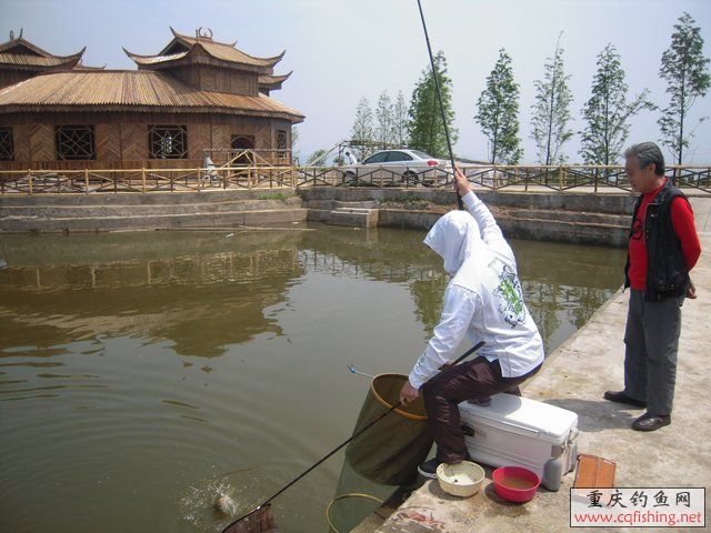 DSCN7330.JPG