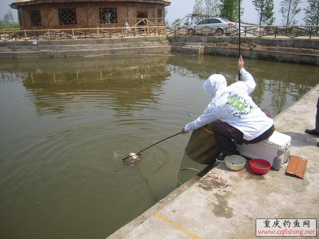 DSCN7331.JPG