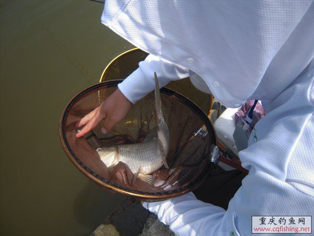 DSCN7332.JPG