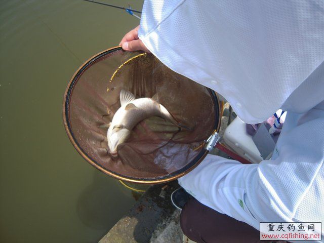 DSCN7333.JPG