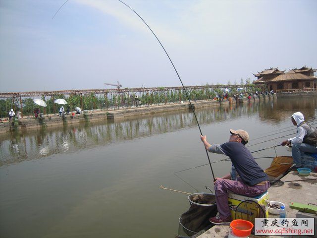 DSCN7334.JPG