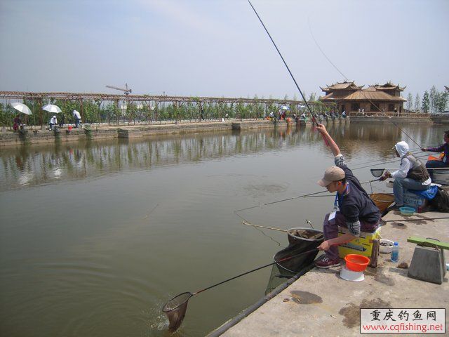 DSCN7336.JPG