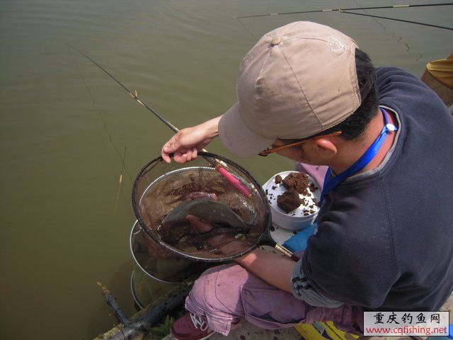 DSCN7337.JPG