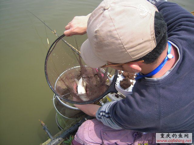 DSCN7338.JPG
