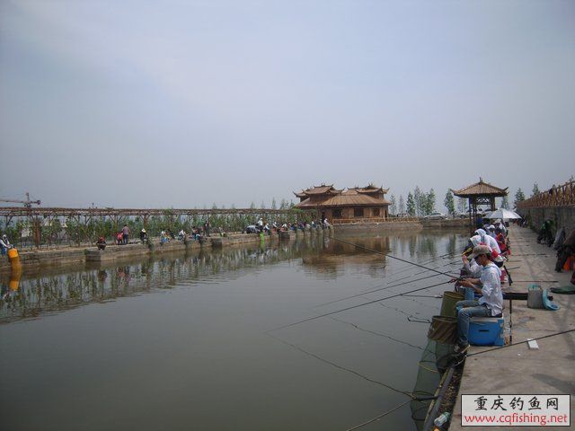 DSCN7341.JPG