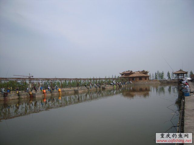 DSCN7342.JPG