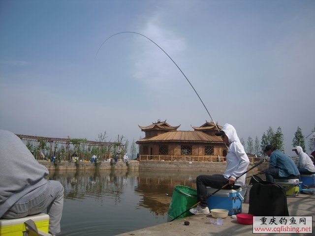 DSCN7345.JPG